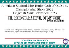 10.A. RIZENSTAR A DEVIL OF MY WORDD.png